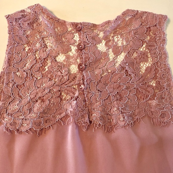 Blushing Pink Sheer Lace Top - Picture 4 of 6